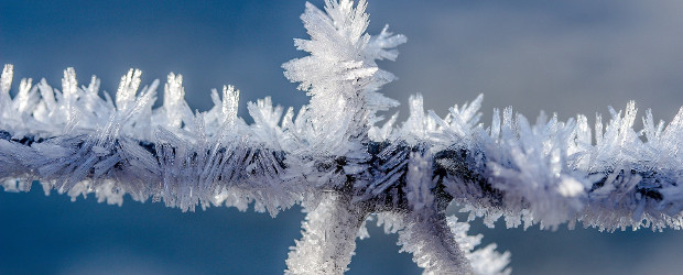 Winter-Highlights in Chemnitz
